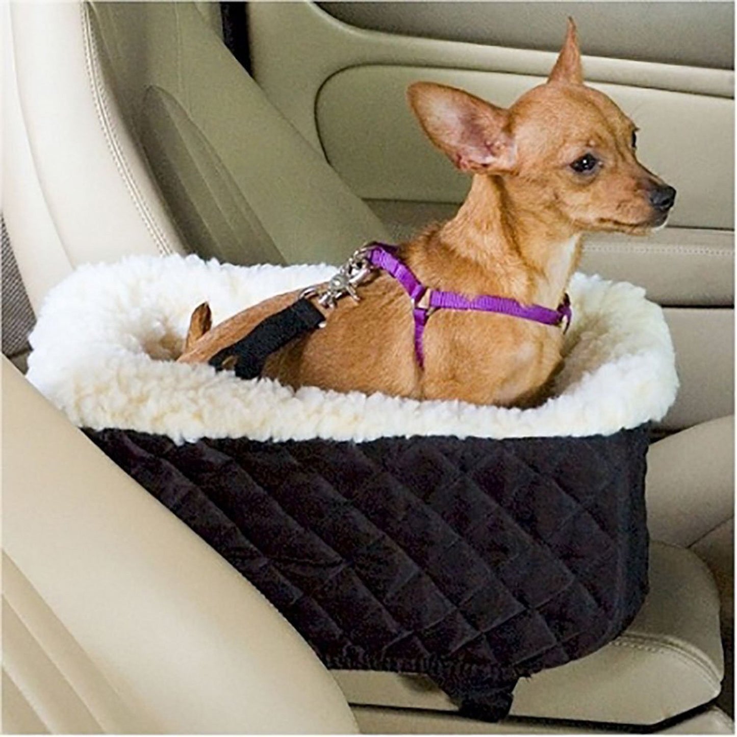 Auto Haustier Korb Hund Katze