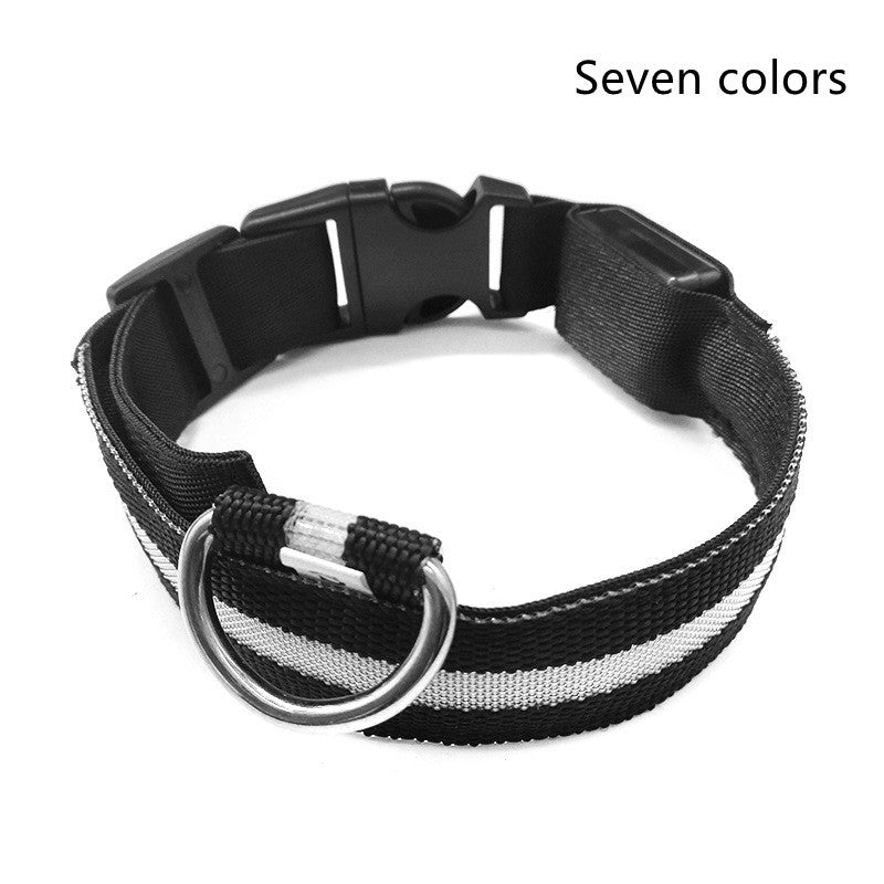 LED Hundehalsband Pet Dog Collar Night Safety