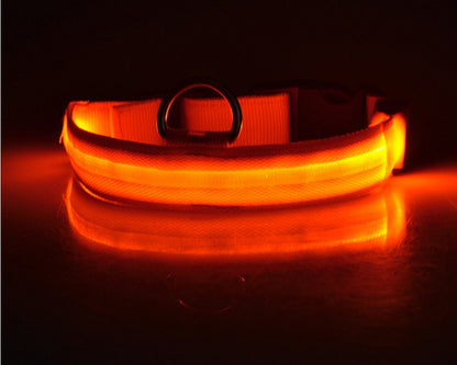 LED-Hundehalsband für Nachtsicherheit