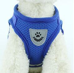 Hundegeschirr Dog Harness And Leash Set