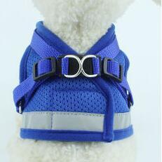 Hundegeschirr Dog Harness And Leash Set