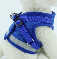 Hundegeschirr Dog Harness And Leash Set