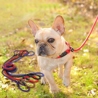 Hundegeschirr Dog leash