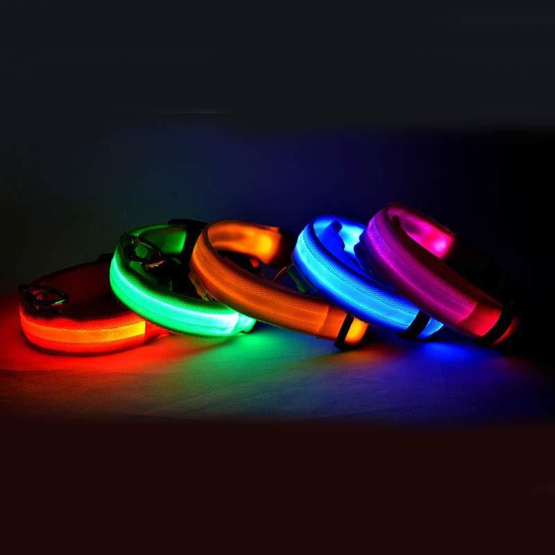 LED Hundehalsband Pet Dog Collar Night Safety