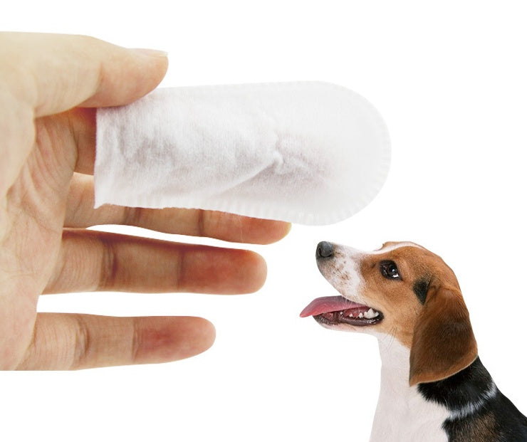 Pet Wipes for Pet Cleaning Teeth