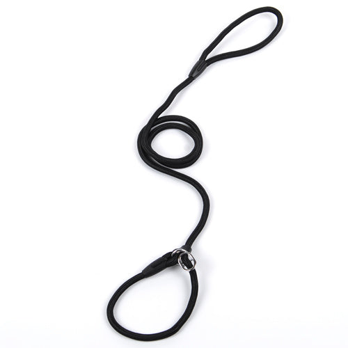 Hundegeschirr Dog leash