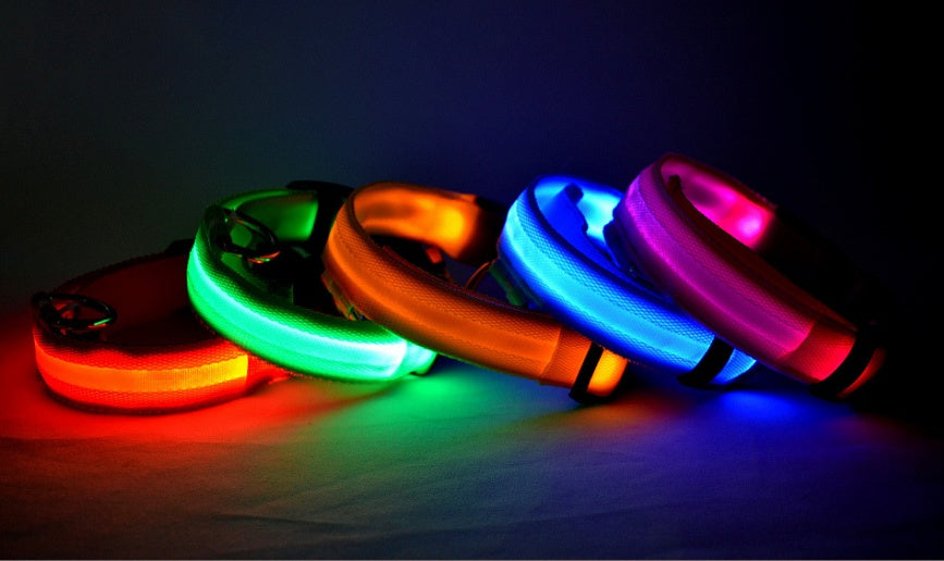 LED Hundehalsband Pet Dog Collar Night Safety